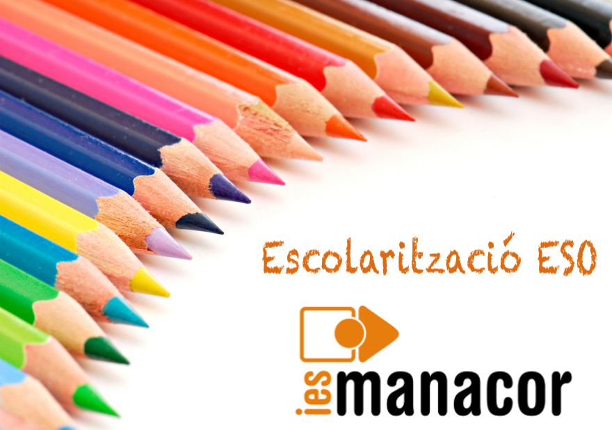 escolaritzacio eso