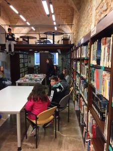 IMG-0484