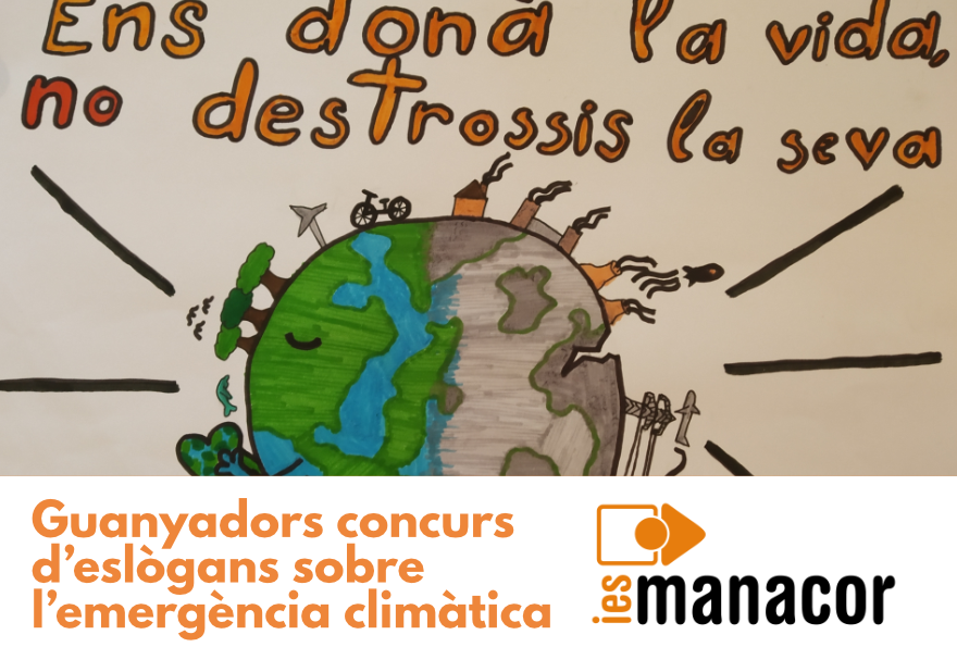 diaMediAmbient2020