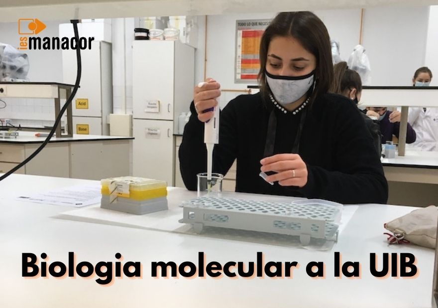 Biologia-molecular-a-la-UIB