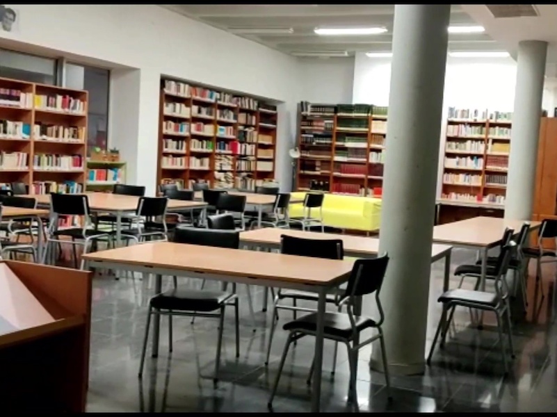Becaris a la biblioteca