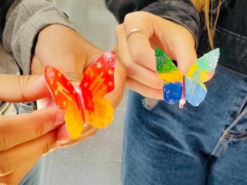 Activitats Sant Jordi 2023