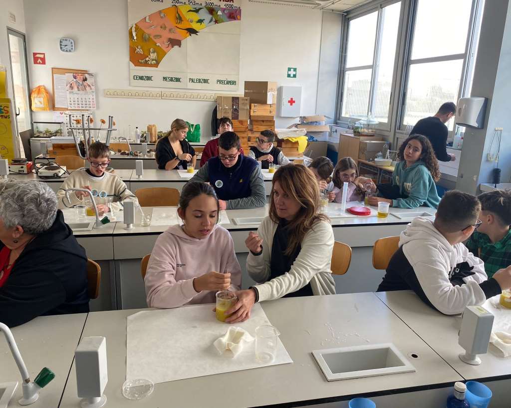 Taller Nadalenc de Sabó Reciclat: Un Èxit entre l’Alumnat